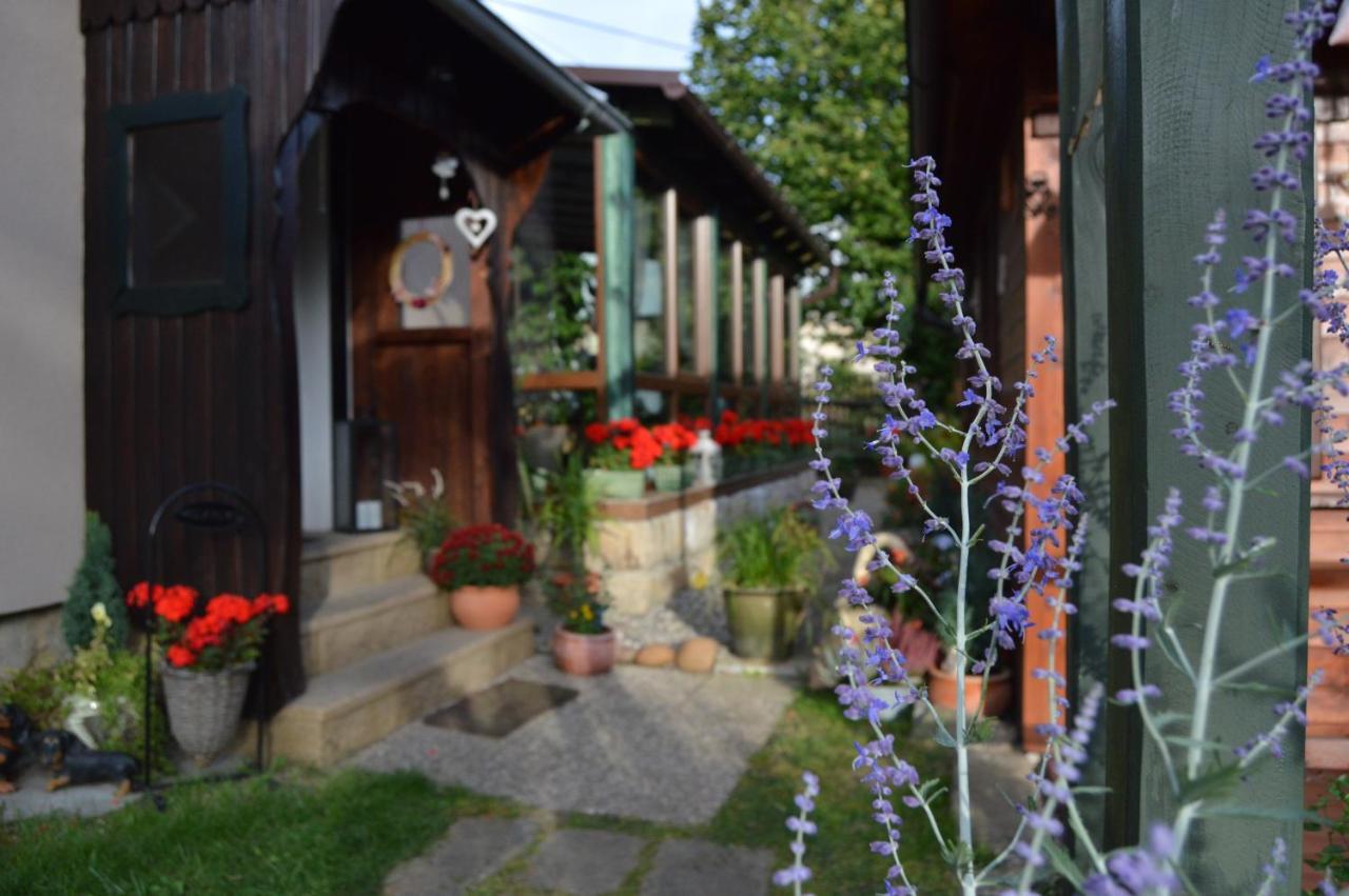 Penzion Pod Rozhlednou Janov Exterior photo