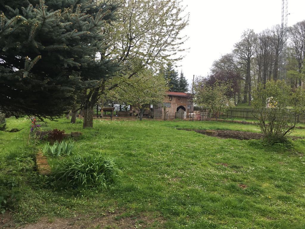 Penzion Pod Rozhlednou Janov Exterior photo